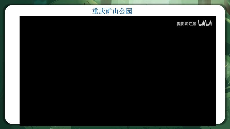 【名师特供】4.3.1《节生态工程的基本原理（第1课时）》 课件+练习（原卷+解析卷）02