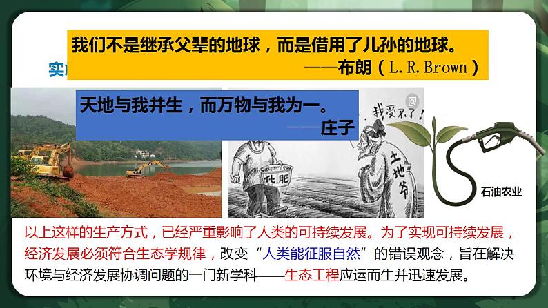 【名师特供】4.3.1《节生态工程的基本原理（第1课时）》 课件+练习（原卷+解析卷）04