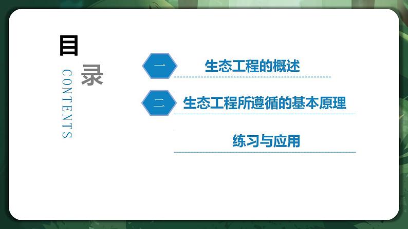 【名师特供】4.3.1《节生态工程的基本原理（第1课时）》 课件+练习（原卷+解析卷）07