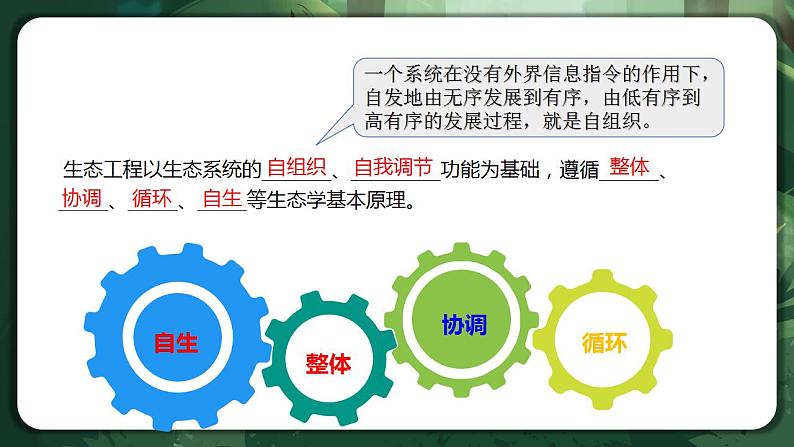 【名师特供】4.3.1《节生态工程的基本原理（第1课时）》 课件+练习（原卷+解析卷）08