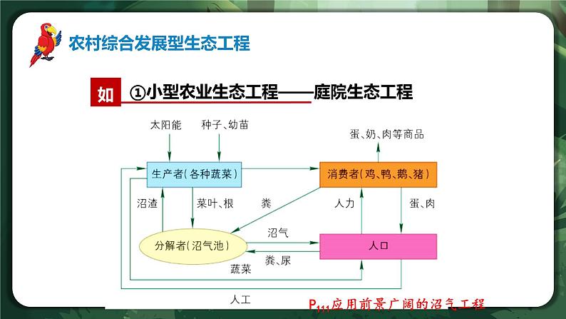 【名师特供】4.3.2《生态工程的的实例和发展前景（第2课时）》 课件+练习（原卷+解析卷）07