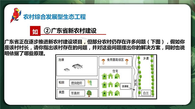 【名师特供】4.3.2《生态工程的的实例和发展前景（第2课时）》 课件+练习（原卷+解析卷）08