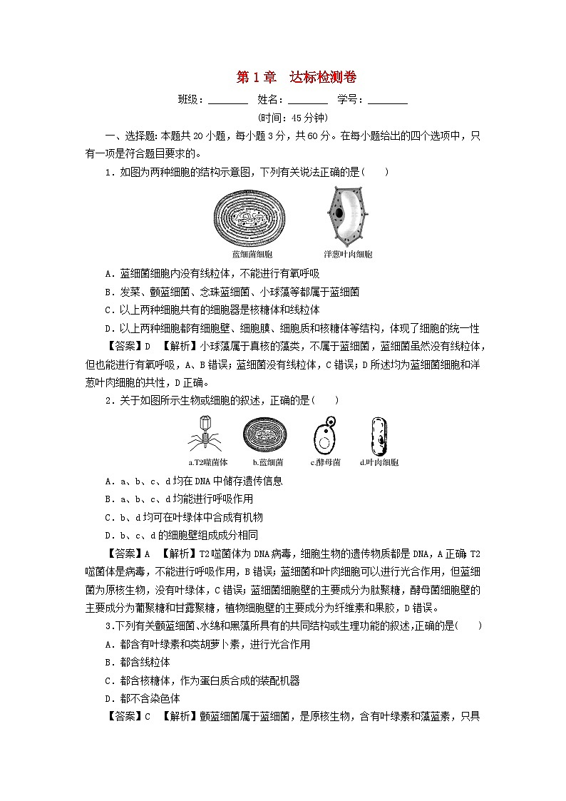 新教材2024版高中生物第1章走近细胞达标检测卷新人教版必修1第1页