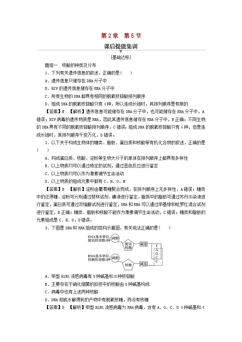 新教材2024版高中生物第2章组成细胞的分子第5节核酸是遗传信息的携带者课后提能集训试题新人教版必修101