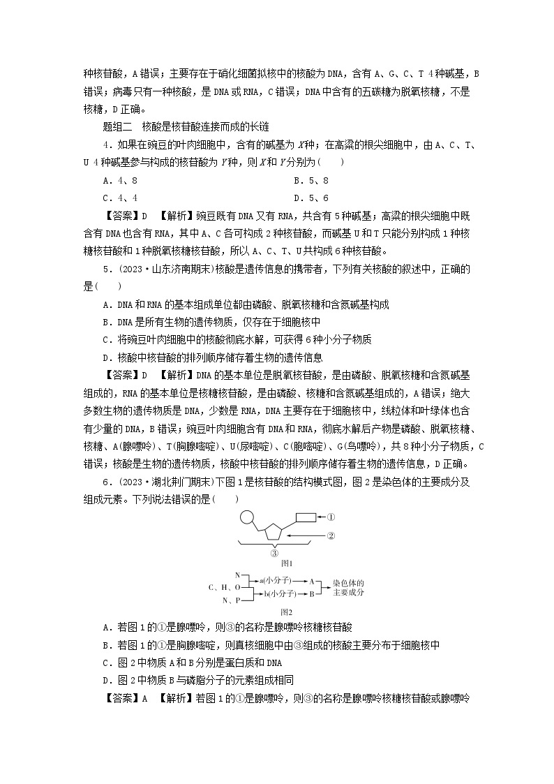 新教材2024版高中生物第2章组成细胞的分子第5节核酸是遗传信息的携带者课后提能集训试题新人教版必修102