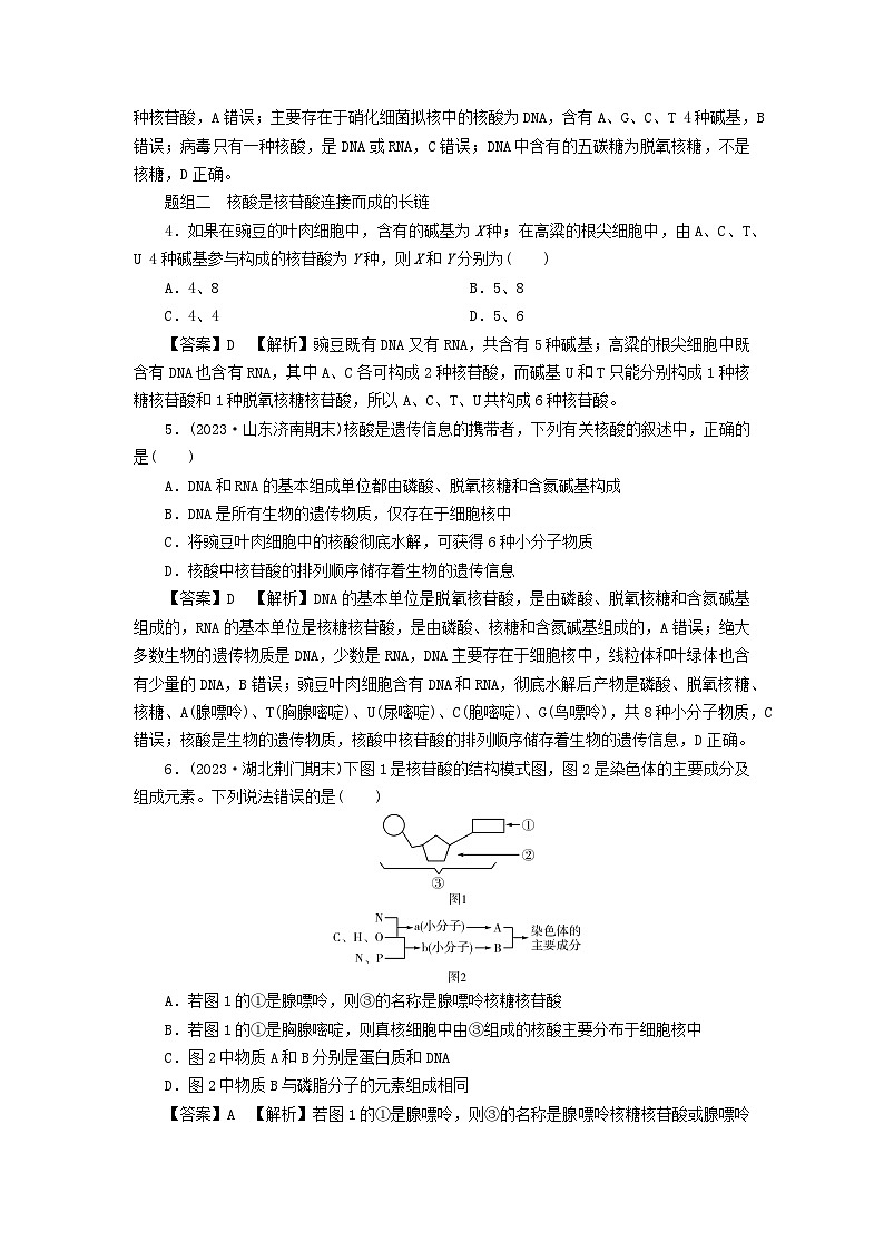 新教材2024版高中生物第2章组成细胞的分子第5节核酸是遗传信息的携带者课后提能集训试题新人教版必修102