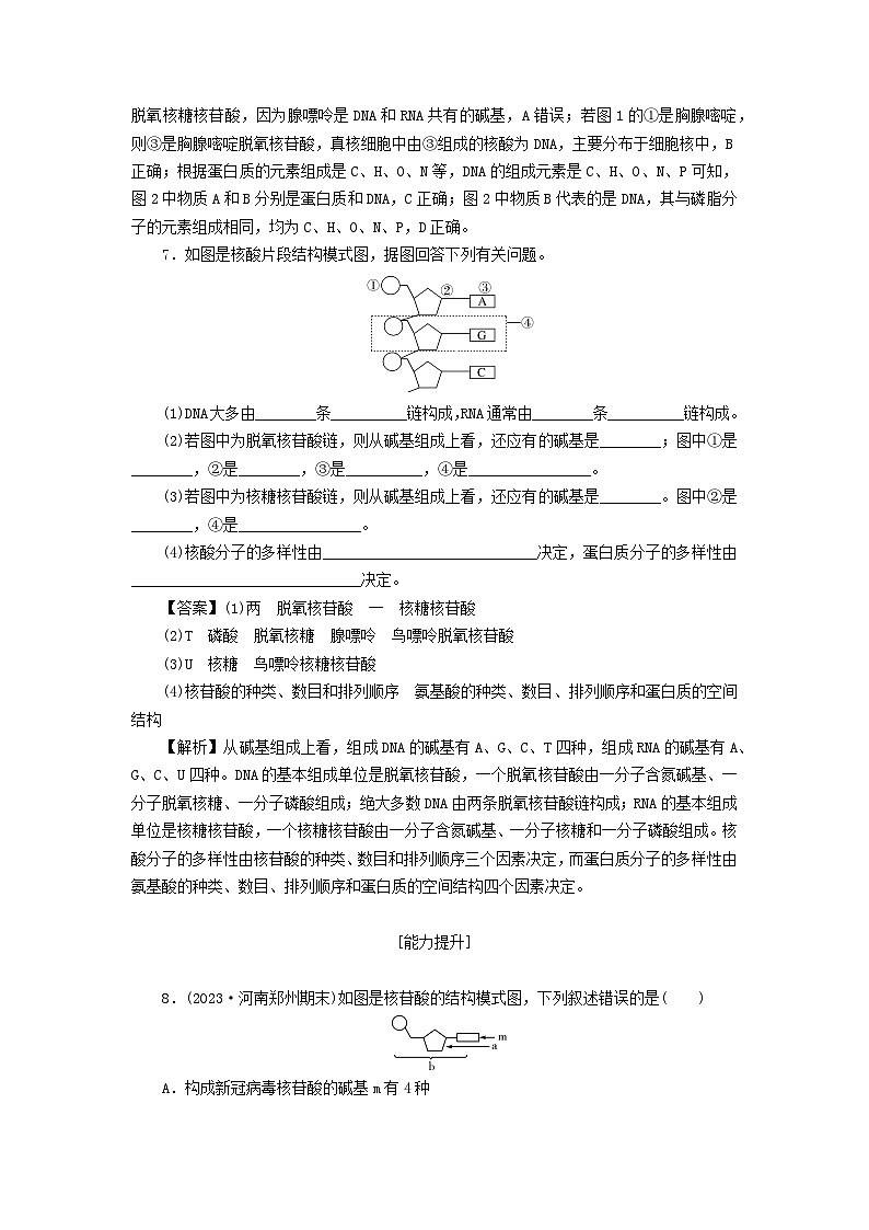 新教材2024版高中生物第2章组成细胞的分子第5节核酸是遗传信息的携带者课后提能集训试题新人教版必修103