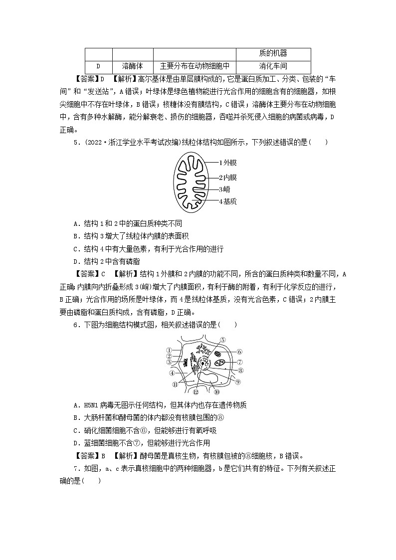 新教材2024版高中生物第3章细胞的基本结构第2节细胞器之间的分工合作课后提能集训试题新人教版必修102
