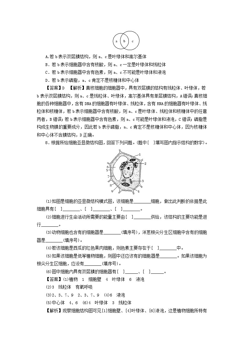 新教材2024版高中生物第3章细胞的基本结构第2节细胞器之间的分工合作课后提能集训试题新人教版必修103