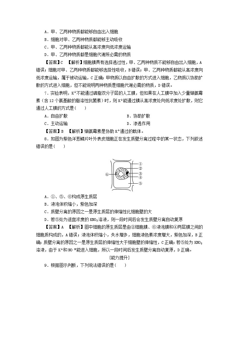 新教材2024版高中生物第4章细胞的物质输入和输出第1节被动运输课后提能集训试题新人教版必修103