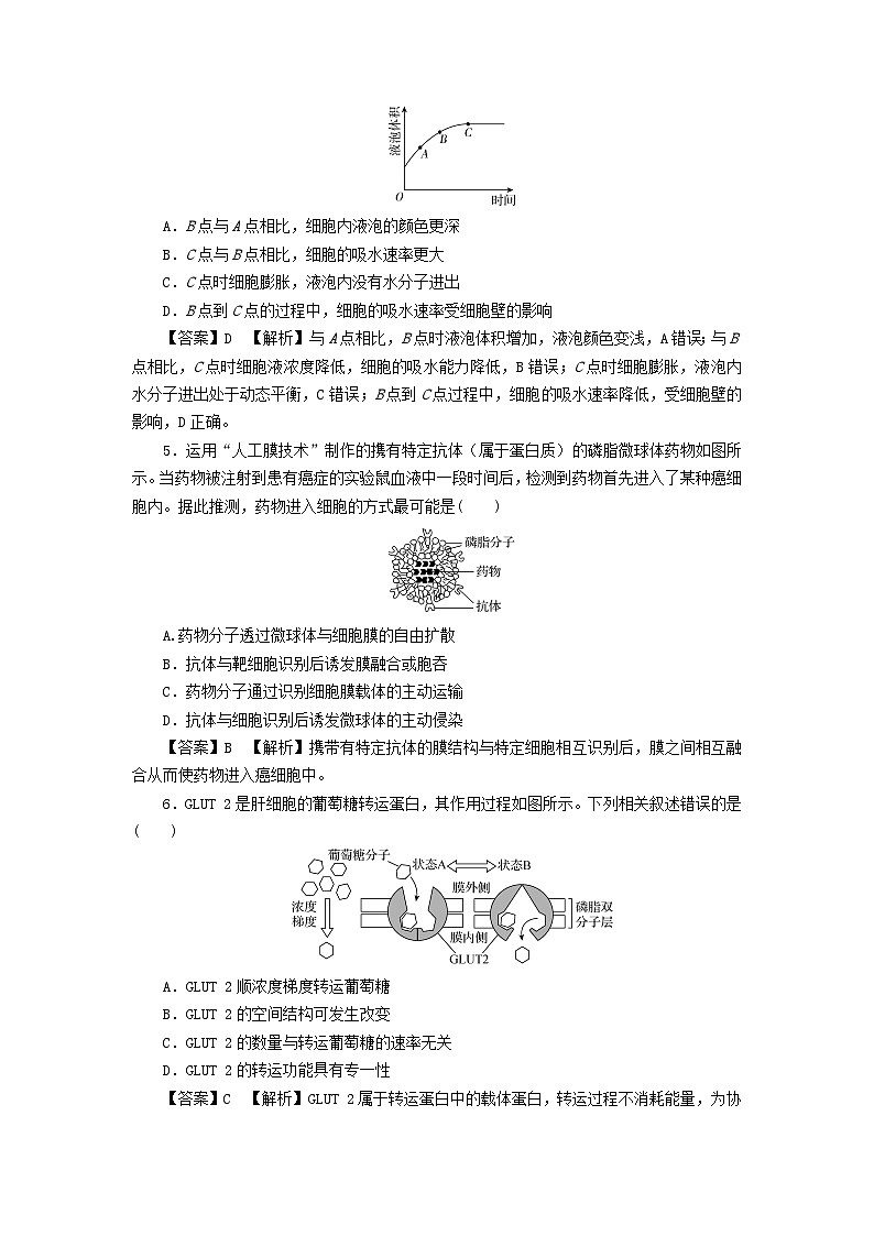 新教材2024版高中生物第4章细胞的物质输入和输出达标检测卷新人教版必修1第2页