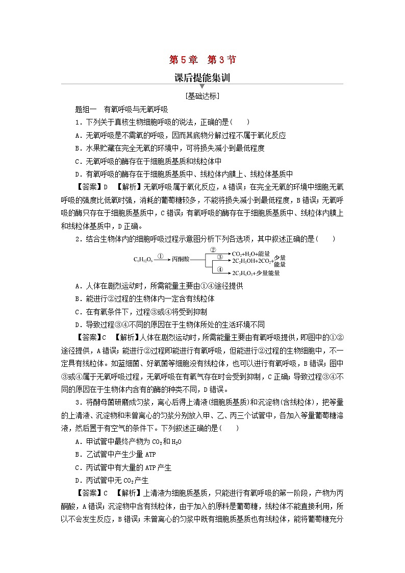 新教材2024版高中生物第5章细胞的能量供应和利用第3节细胞呼吸的原理和应用课后提能集训试题新人教版必修101