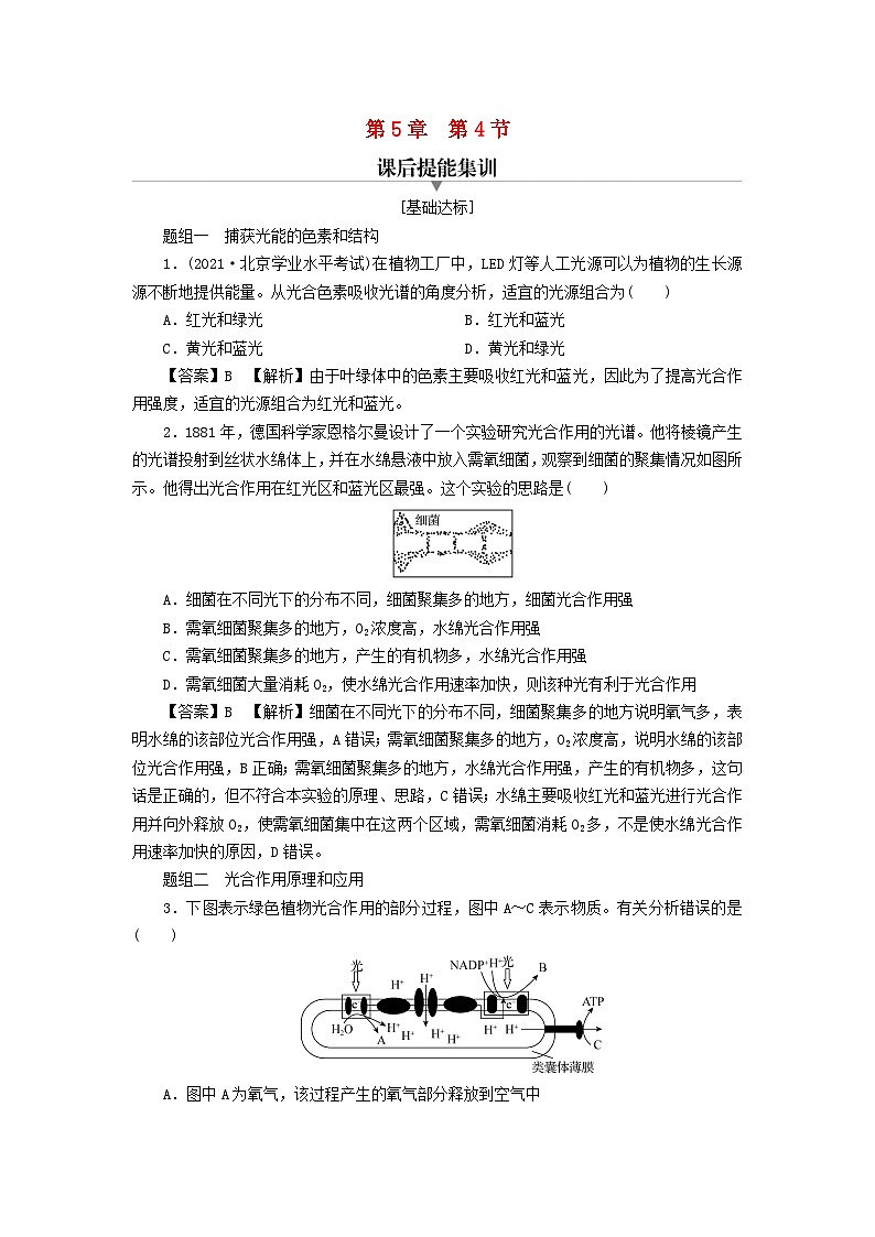 新教材2024版高中生物第5章细胞的能量供应和利用第4节光合作用与能量转化课后提能集训试题新人教版必修101