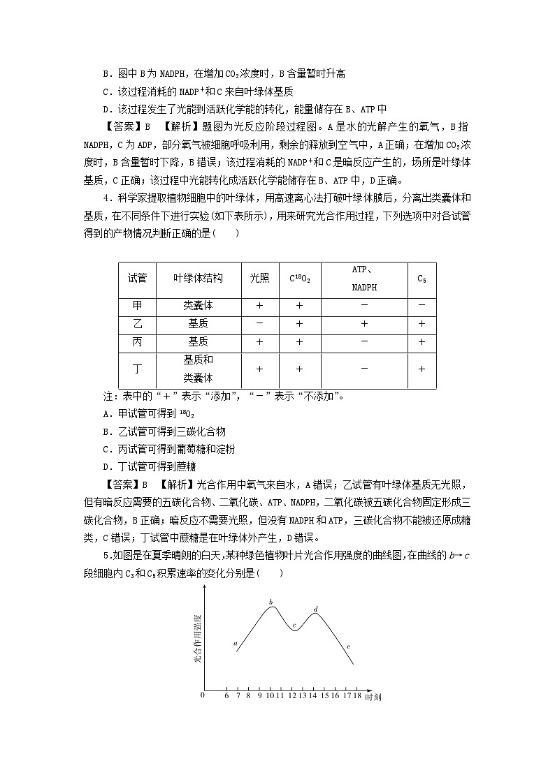 新教材2024版高中生物第5章细胞的能量供应和利用第4节光合作用与能量转化课后提能集训试题新人教版必修102