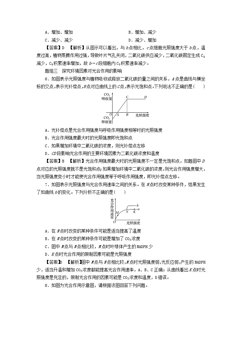 新教材2024版高中生物第5章细胞的能量供应和利用第4节光合作用与能量转化课后提能集训试题新人教版必修103