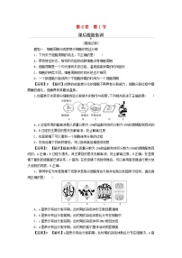 高中生物人教版 (2019)必修1《分子与细胞》第6章 细胞的生命历程第1节 细胞的增殖同步练习题