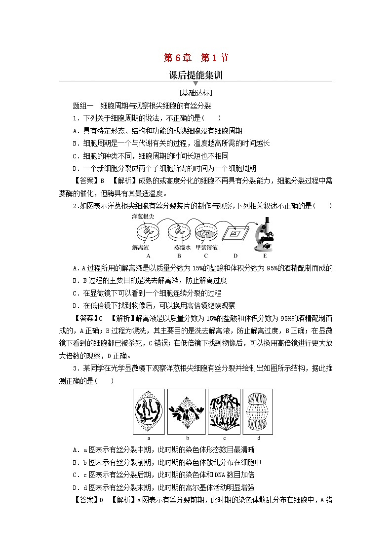 新教材2024版高中生物第6章细胞的生命历程第1节细胞的增殖课后提能集训试题新人教版必修101