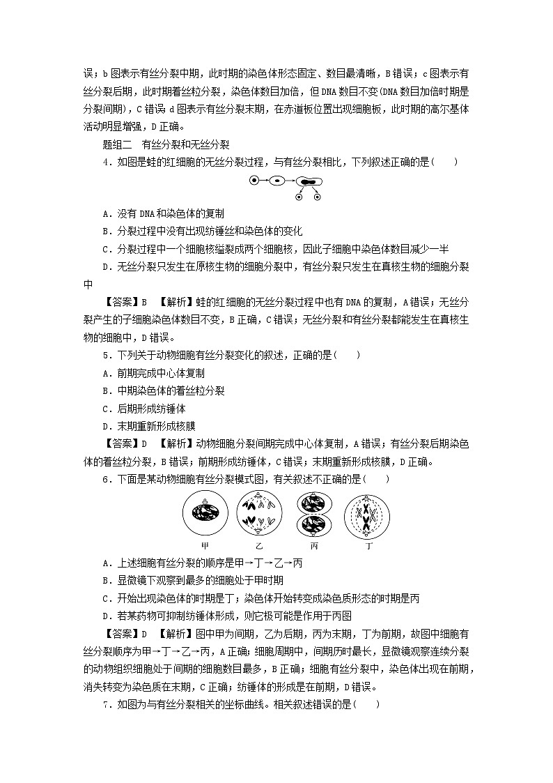 新教材2024版高中生物第6章细胞的生命历程第1节细胞的增殖课后提能集训试题新人教版必修102