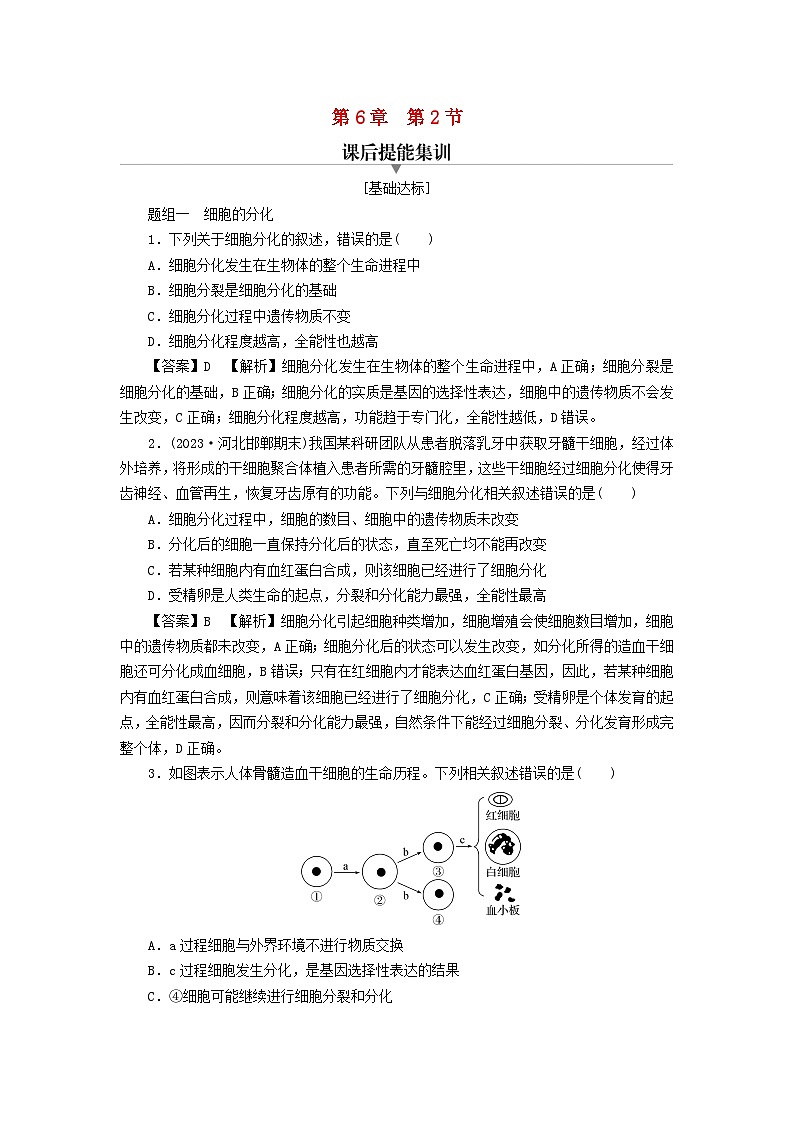 新教材2024版高中生物第6章细胞的生命历程第2节细胞的分化课后提能集训试题新人教版必修101