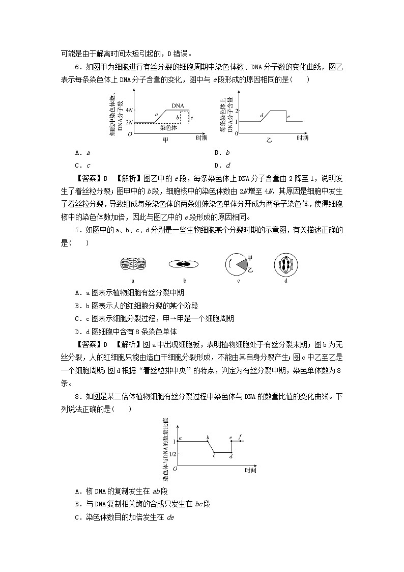 新教材2024版高中生物第6章细胞的生命历程达标检测卷新人教版必修103