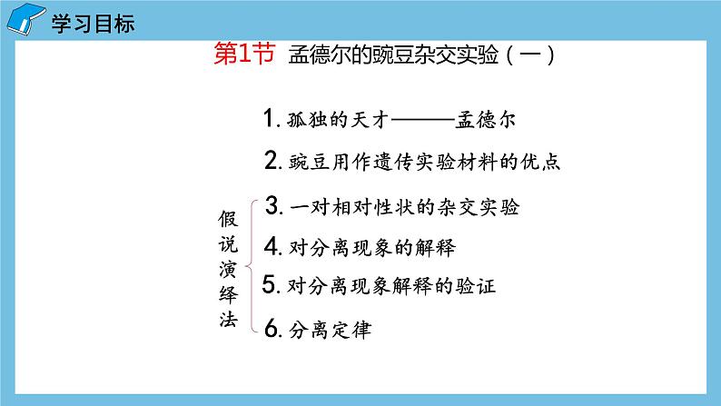 1.1《孟德尔的豌豆杂交实验（一）（第1课时）》课件 人教版高中生物必修二03