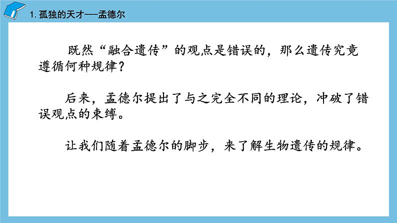 1.1《孟德尔的豌豆杂交实验（一）（第1课时）》课件 人教版高中生物必修二06