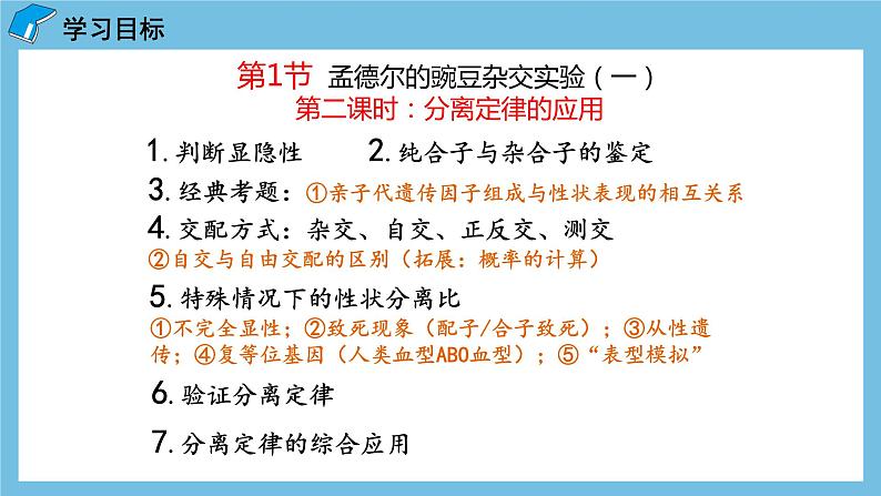 1.1《孟德尔的豌豆杂交实验（一）（第2课时）》课件 人教版高中生物必修二02