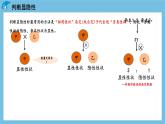 1.1《孟德尔的豌豆杂交实验（一）（第2课时）》课件 人教版高中生物必修二