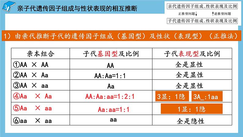 1.1《孟德尔的豌豆杂交实验（一）（第2课时）》课件 人教版高中生物必修二08