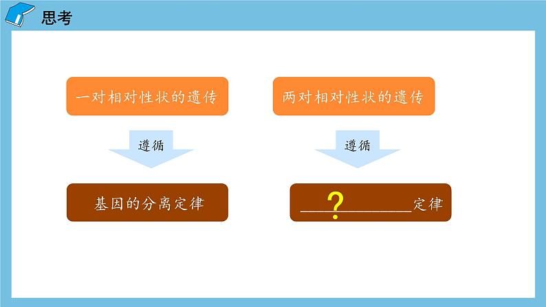 1.2《孟德尔的豌豆杂交实验（二）（第1课时）》课件 人教版高中生物必修二第4页