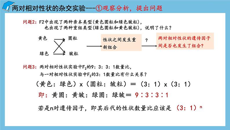 1.2《孟德尔的豌豆杂交实验（二）（第1课时）》课件 人教版高中生物必修二第8页