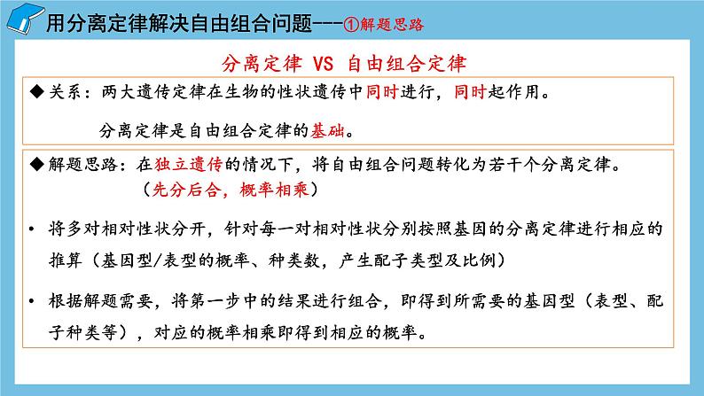 1.2《孟德尔的豌豆杂交实验（二）（第2课时）》课件 人教版高中生物必修二03