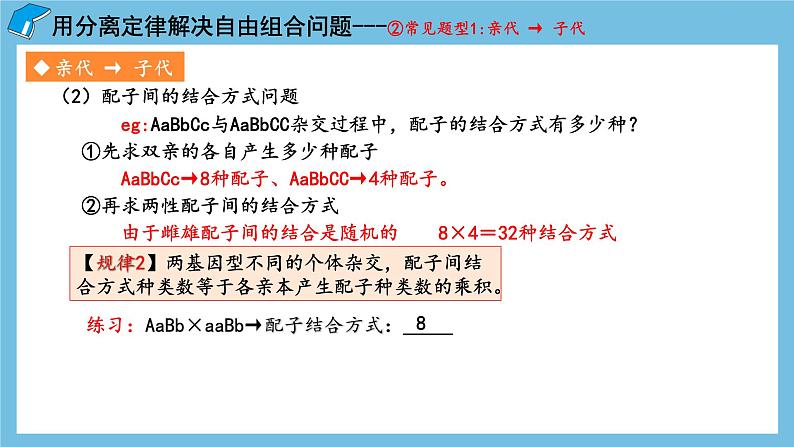 1.2《孟德尔的豌豆杂交实验（二）（第2课时）》课件 人教版高中生物必修二05