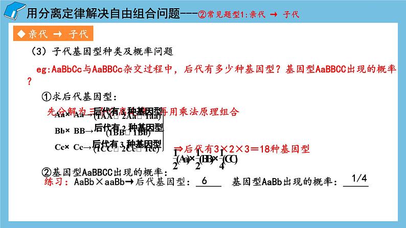 1.2《孟德尔的豌豆杂交实验（二）（第2课时）》课件 人教版高中生物必修二06