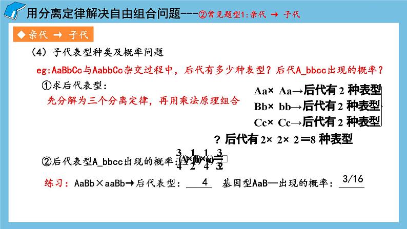 1.2《孟德尔的豌豆杂交实验（二）（第2课时）》课件 人教版高中生物必修二07