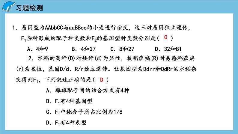 1.2《孟德尔的豌豆杂交实验（二）（第2课时）》课件 人教版高中生物必修二08