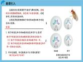 2.1《减数分裂和受精作用（第1课时）》课件 人教版高中生物必修二