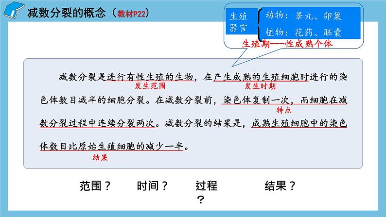 2.1《减数分裂和受精作用（第1课时）》课件 人教版高中生物必修二07