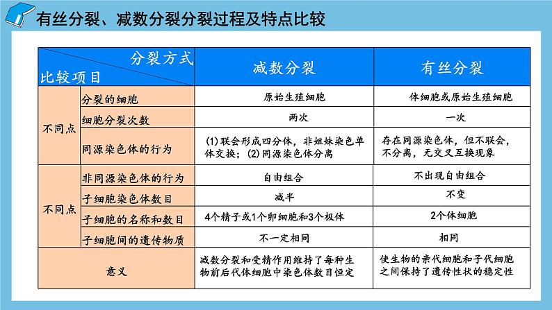 2.1《减数分裂和受精作用（第3课时）》课件 人教版高中生物必修二03