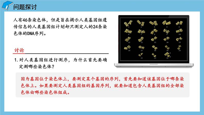 2.2《基因在染色体上》课件 人教版高中生物必修二03