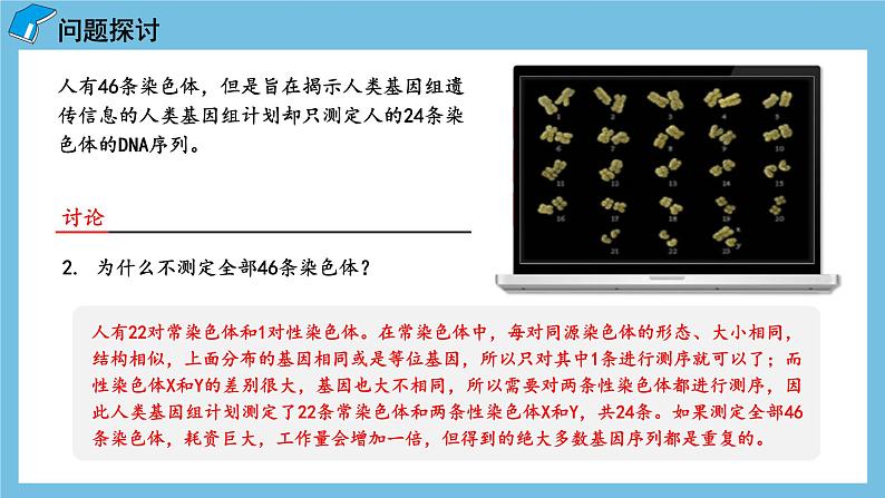 2.2《基因在染色体上》课件 人教版高中生物必修二04