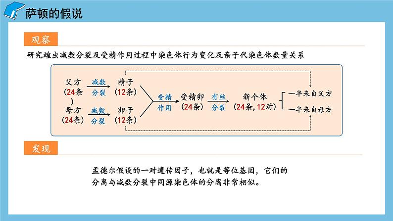 2.2《基因在染色体上》课件 人教版高中生物必修二07