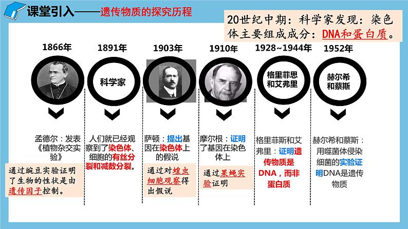 3.1《DNA是主要的遗传物质》课件 人教版高中生物必修二06