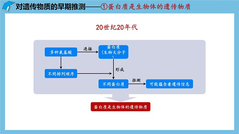 3.1《DNA是主要的遗传物质》课件 人教版高中生物必修二08