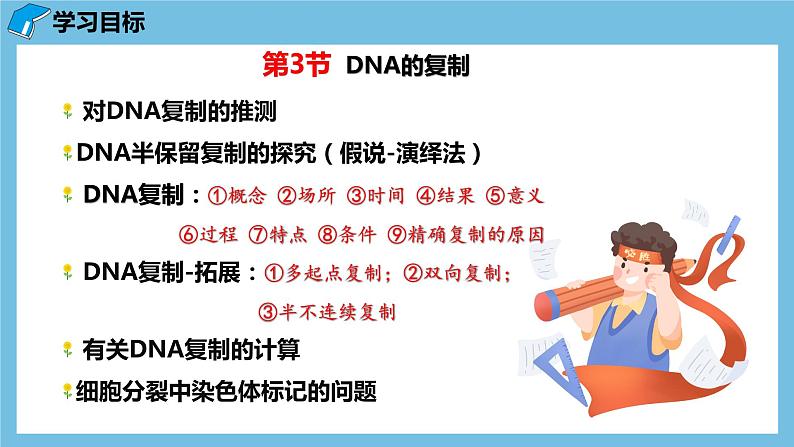 3.3《DNA的复制》课件 人教版高中生物必修二02