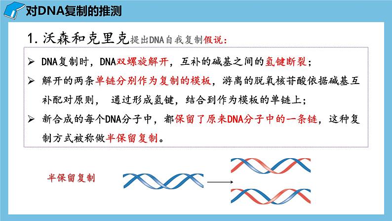 3.3《DNA的复制》课件 人教版高中生物必修二04