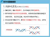 3.3《DNA的复制》课件 人教版高中生物必修二