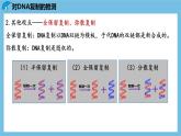 3.3《DNA的复制》课件 人教版高中生物必修二