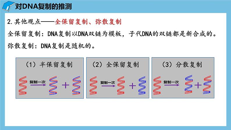 3.3《DNA的复制》课件 人教版高中生物必修二05