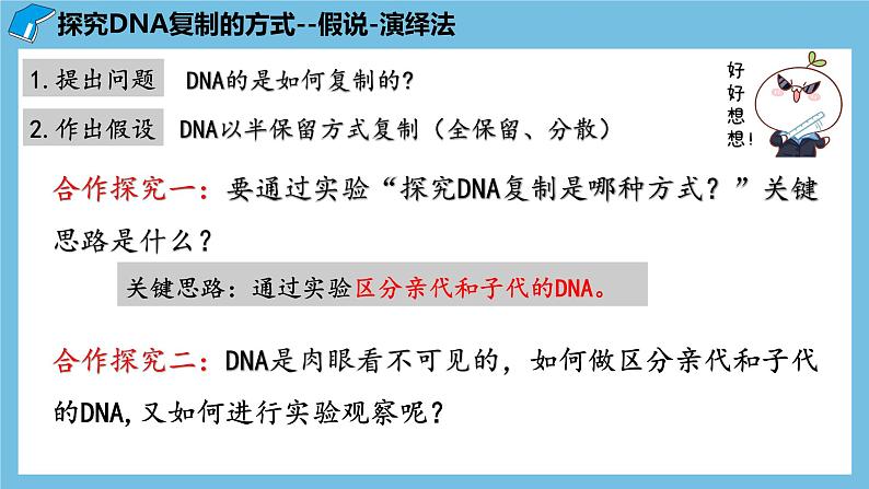 3.3《DNA的复制》课件 人教版高中生物必修二06